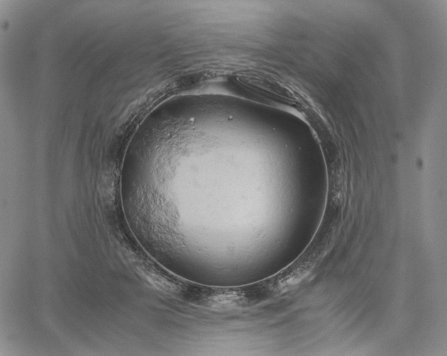 X0000061740505200512091614