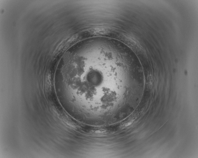 X0000061740506200512091614