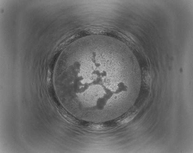 X0000061740507200512091614