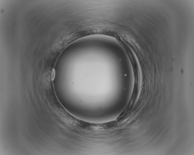 X0000061740509200512091614