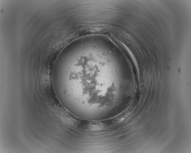 X0000061740510200512091614