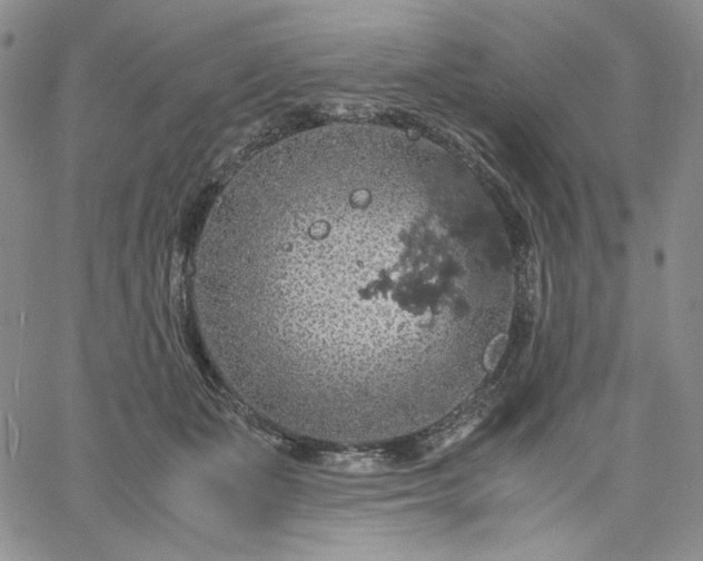 X0000061740511200512091614