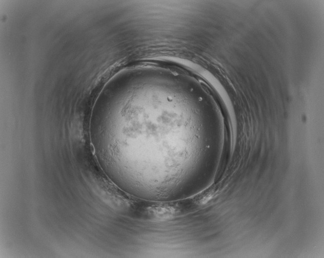 X0000061740512200512091614