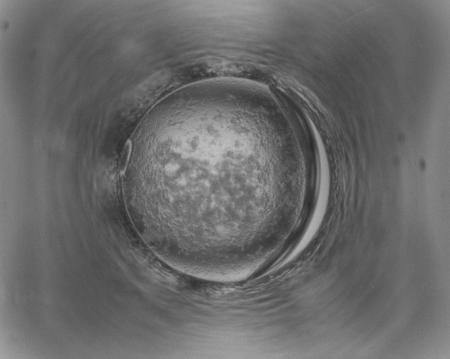 X0000061740513200512091614