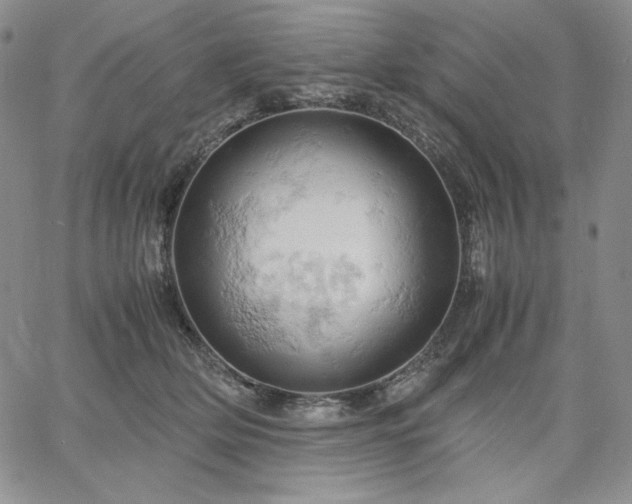 X0000061740514200512091614