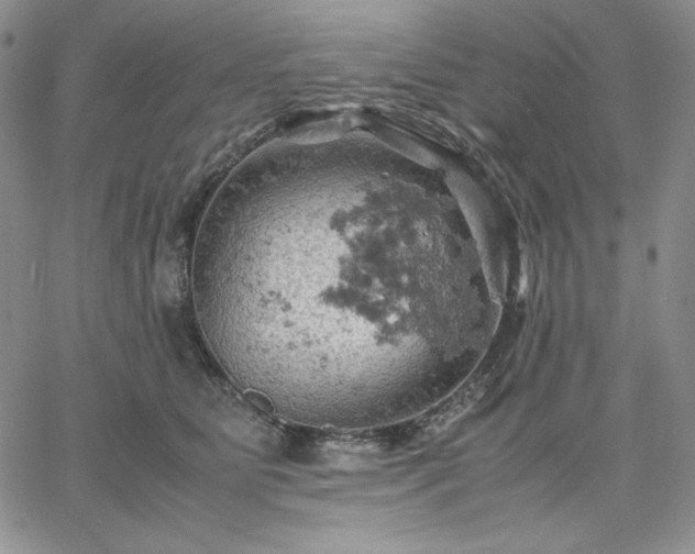 X0000061740515200512091614