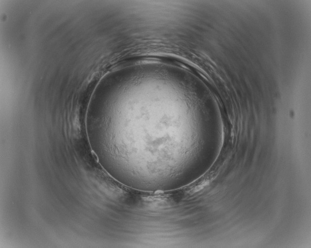 X0000061740516200512091614