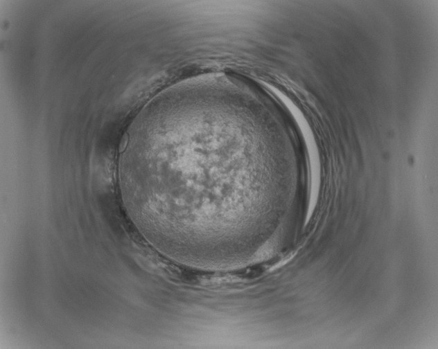 X0000061740517200512091614