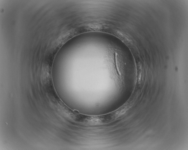 X0000061740518200512091614