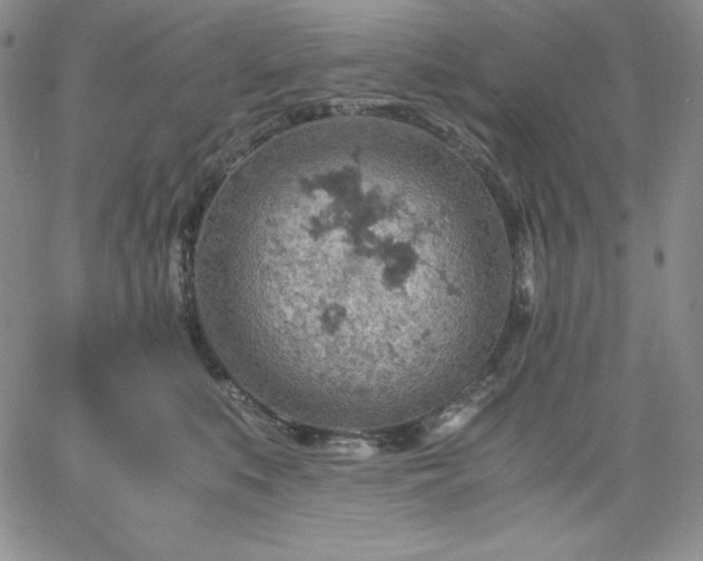 X0000061740519200512091613