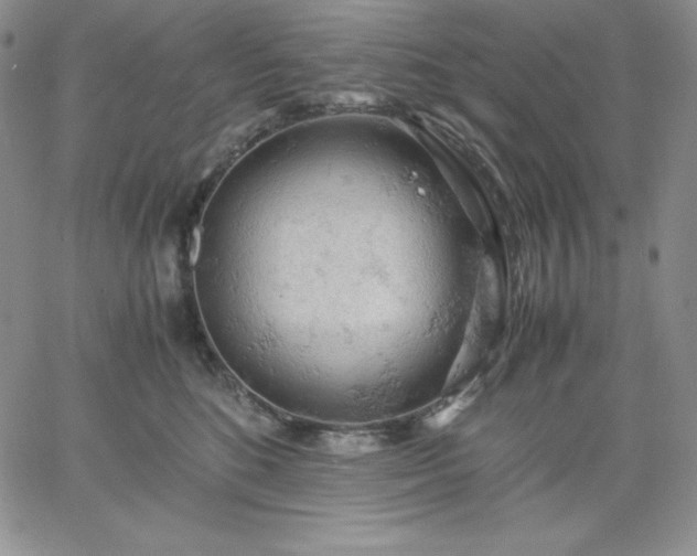 X0000061740520200512091613