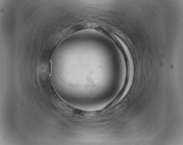 X0000061740521200512091613