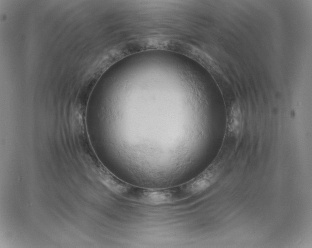 X0000061740522200512091613