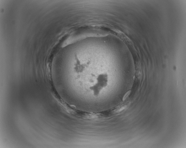 X0000061740523200512091613