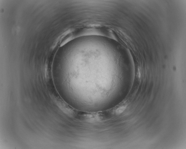 X0000061740524200512091613