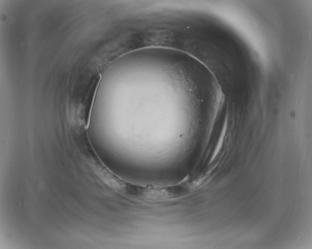 X0000061740525200512091613