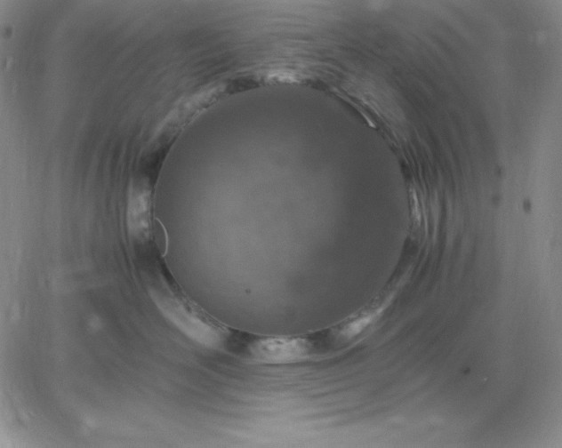 X0000061740526200512091613