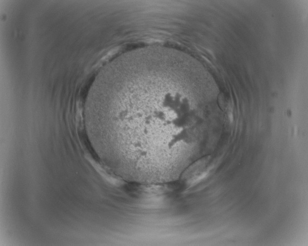 X0000061740527200512091613