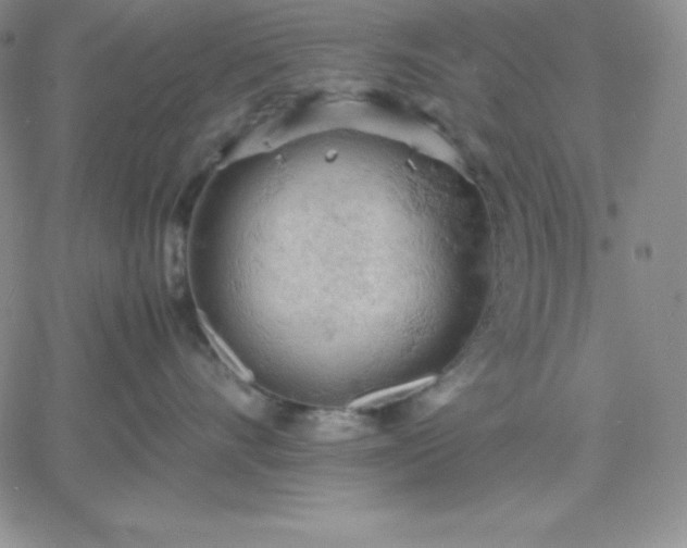 X0000061740528200512091613