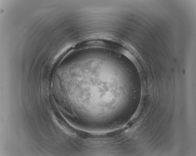 X0000061740530200512091613