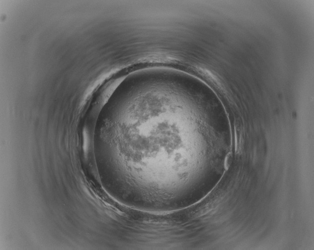 X0000061740531200512091613