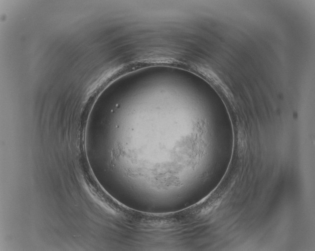 X0000061740533200512091613