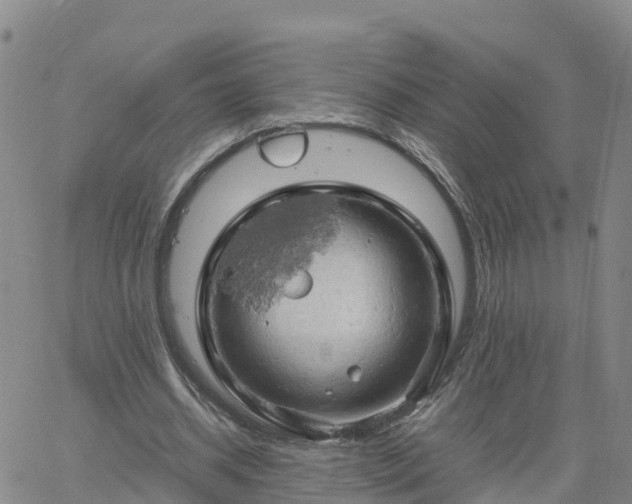 X0000061740534200512091613