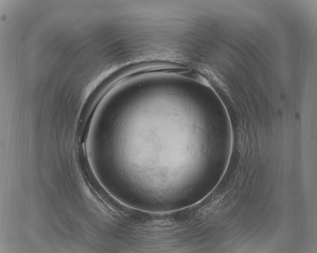 X0000061740536200512091613