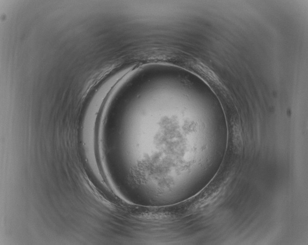 X0000061740537200512091613