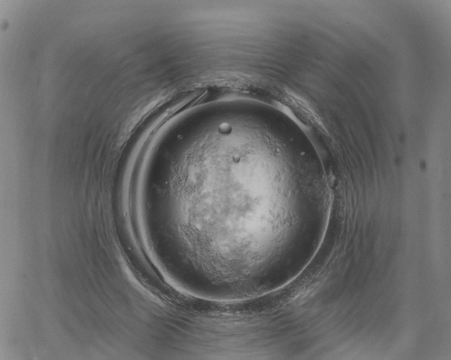 X0000061740538200512091613