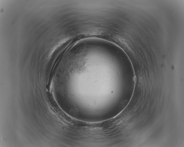 X0000061740539200512091613