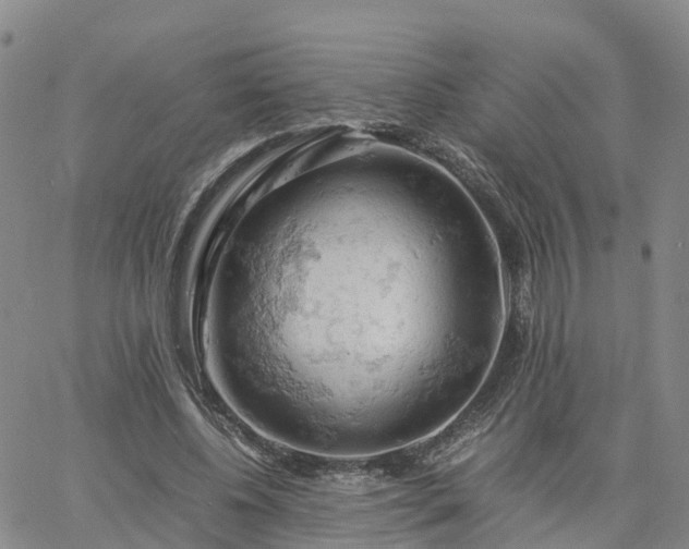 X0000061740540200512091613