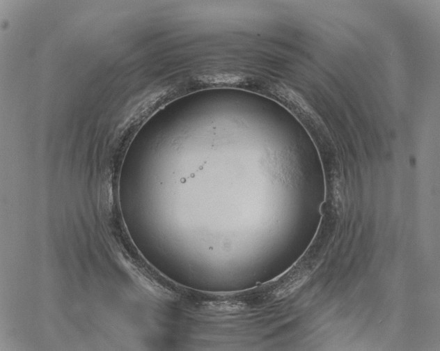 X0000061740541200512091613