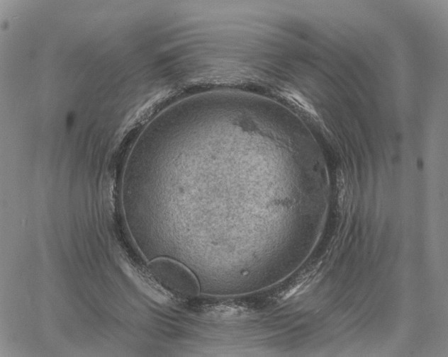 X0000061740542200512091613