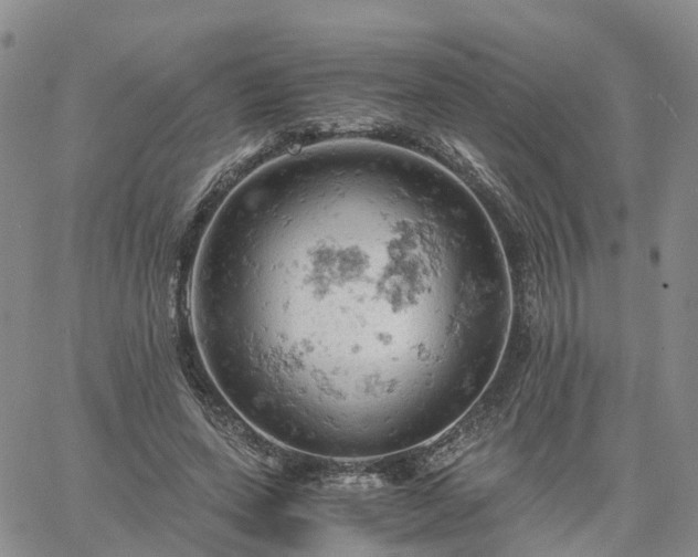 X0000061740543200512091613