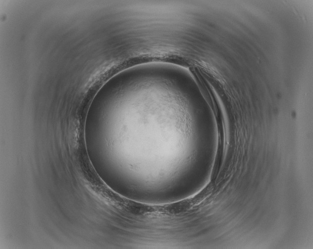 X0000061740544200512091613