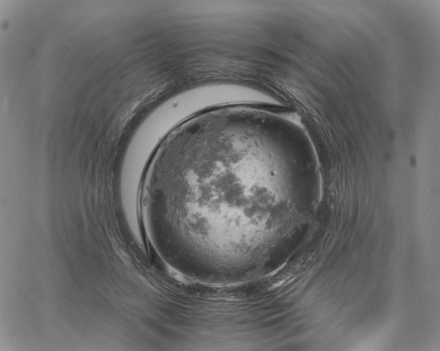 X0000061740547200512091613