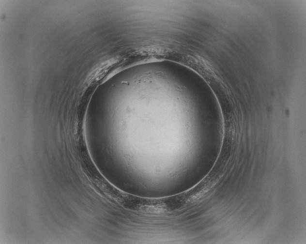 X0000061740548200512091613