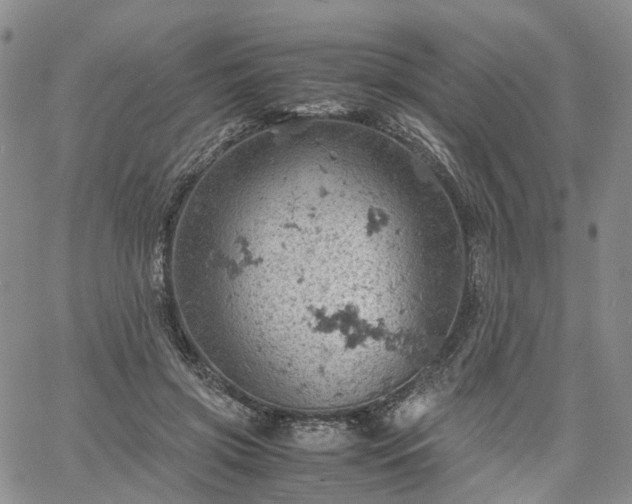 X0000061740549200512091613