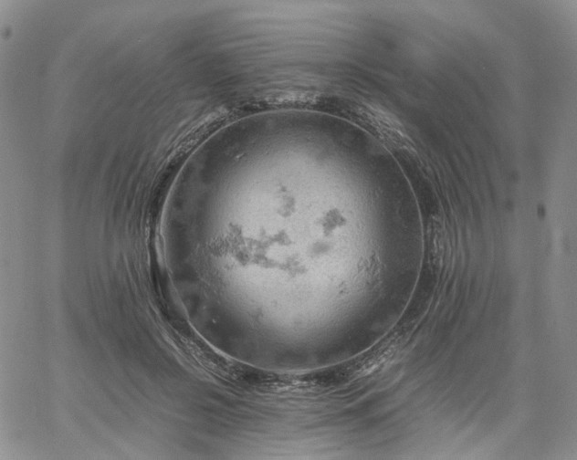 X0000061740550200512091613