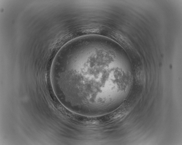 X0000061740551200512091613