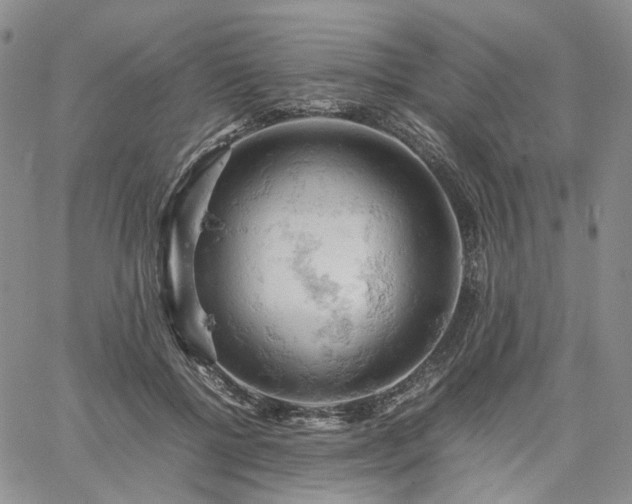 X0000061740552200512091613