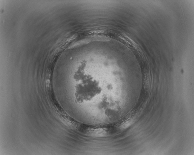 X0000061740553200512091613