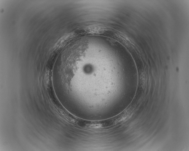 X0000061740554200512091613