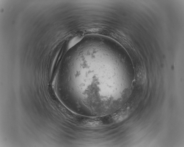 X0000061740555200512091613