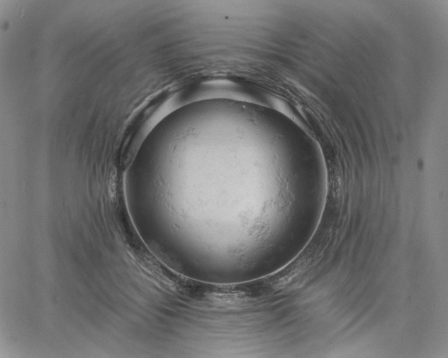 X0000061740556200512091613