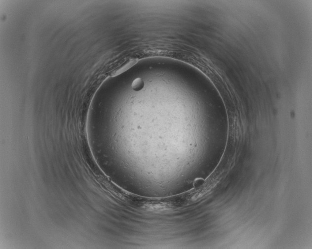 X0000061740557200512091613