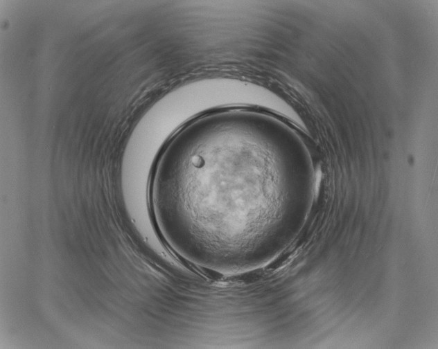 X0000061740558200512091613