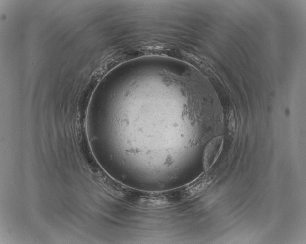 X0000061740559200512091613