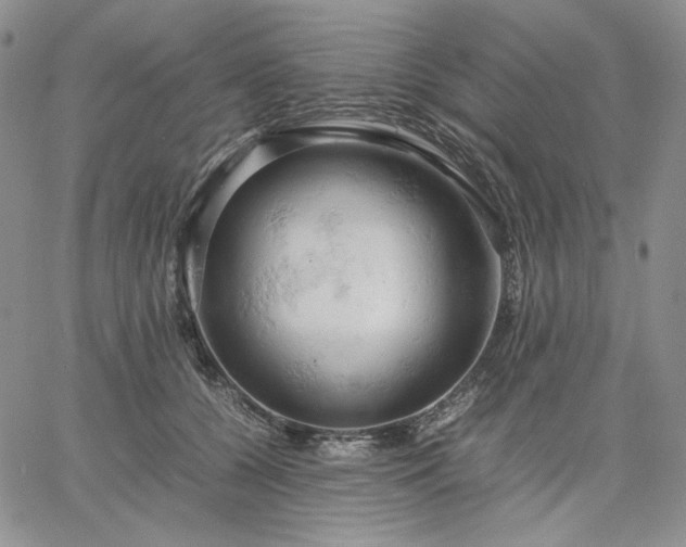 X0000061740560200512091613